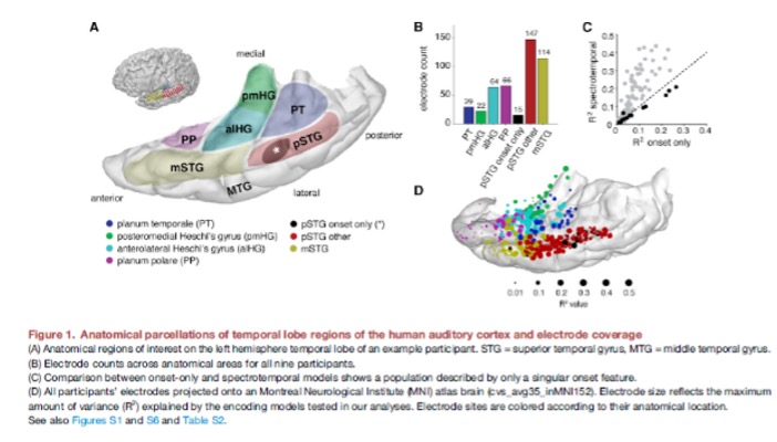 NeuronasFig1 Neuronas_Figura1